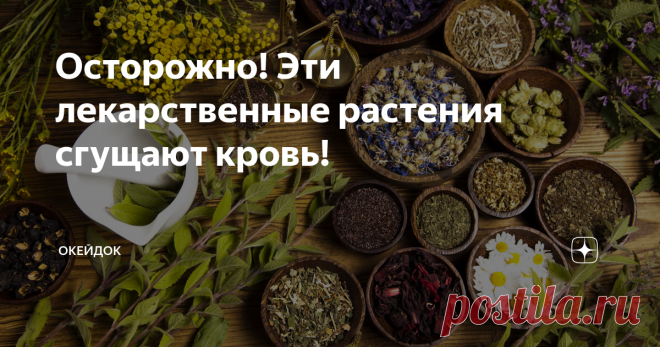 Осторожно! Эти лекарственные растения сгущают кровь! В представлении любого современного человека 