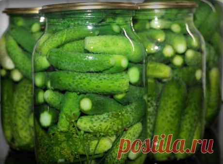 Вкусные хрустящие огурчики на зиму - мой лучший рецепт. Банки никогда не мутнеют и не взрываются | Мой сад и огород | Яндекс Дзен