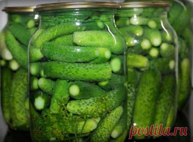 Вкусные хрустящие огурчики на зиму - мой лучший рецепт. Банки никогда не мутнеют и не взрываются | Мой сад и огород | Яндекс Дзен