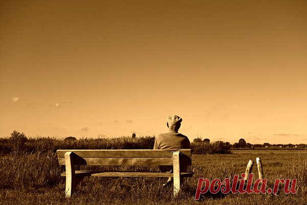 «Последний приют» для отца | Отчаянная Домохозяйка | Яндекс Дзен