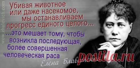 ИНСАЙТ Андрея Жалевича
