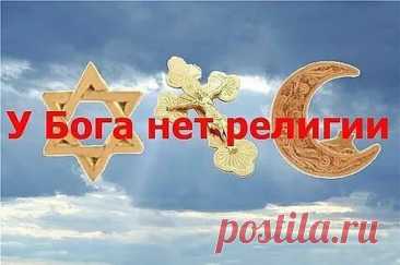 (4) Одноклассники