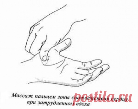 СУ-ДЖОК: ЕСЛИ ВАС МУЧАЕТ ОДЫШКА (II)