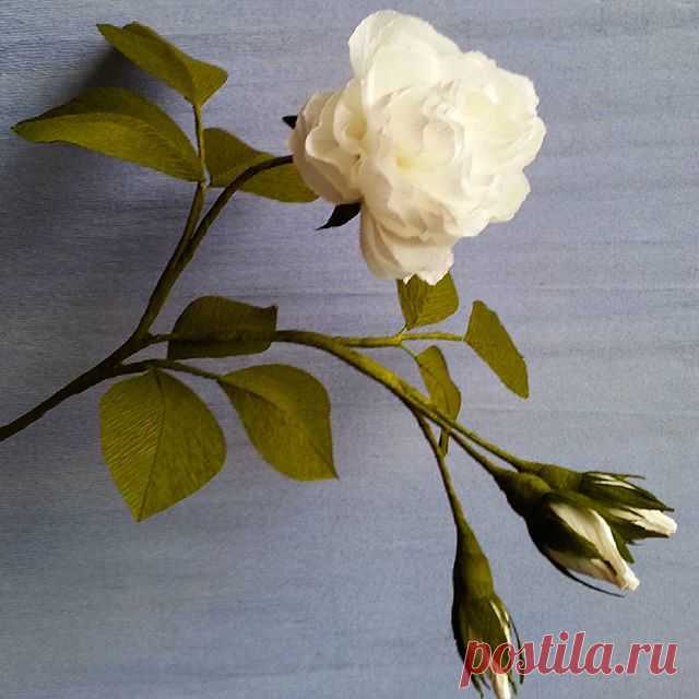 #crepepaperflower
