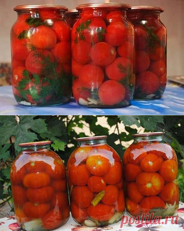 Маринованные помидоры на зиму: 11 рецептов Пальчики оближешь