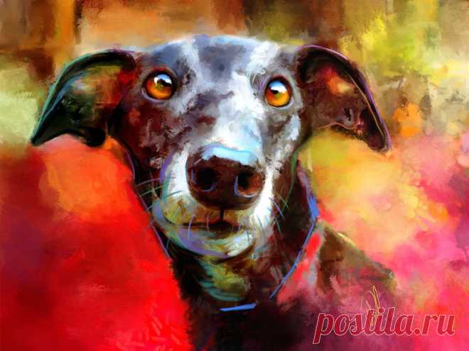Milly Many Coats Digital Art (Giclée) by Denise Laurent A greyhound portrait. I love that face and those beautiful liquid eyes! She is a great excuse for an abstract painting with lots of colour to set off her dark coat and big brown eyes.

Limited editi...