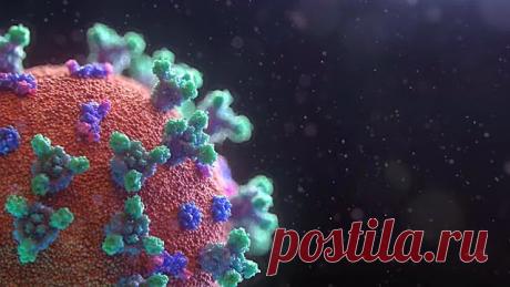 emekliyim.com - Geri Dönüsümün Merkezi: Hic Belirti Göstermeyen Birinin Koronavirüse (Covid19) Yakalandığı Nasıl Tespit Edilir?