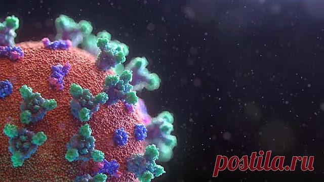 emekliyim.com - Geri Dönüsümün Merkezi: Hic Belirti Göstermeyen Birinin Koronavirüse (Covid19) Yakalandığı Nasıl Tespit Edilir?