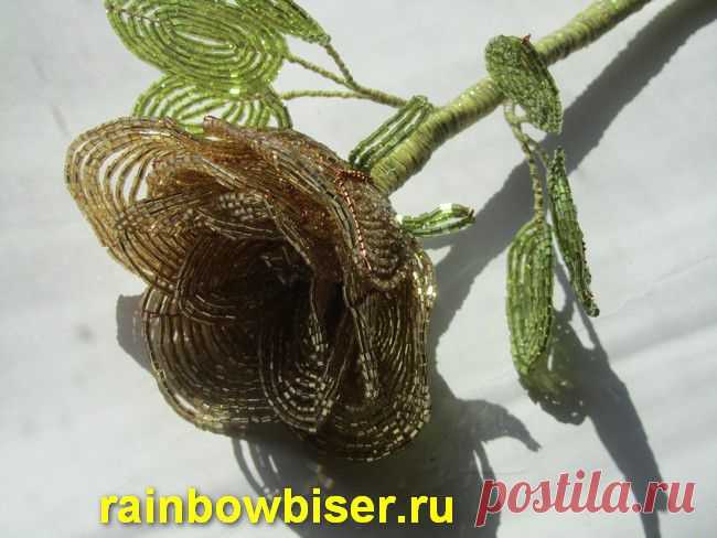 розы из бисера | РАДУГА БИСЕРА.