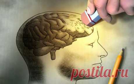 Что правит человеком - ум или глупость?