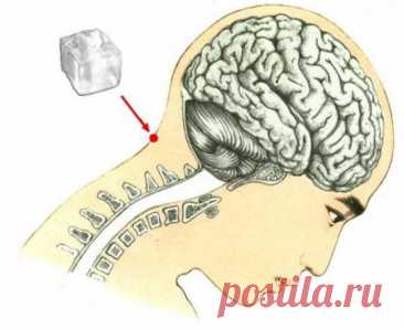 Уникальная точка Фэн-фу. Омоложение одним движением - Упражнения и похудение Фэн-фу — единственная точка на теле человека, где мозг доступен прямому, непосредственному воздействию, так как именно здесь между ним и кожей ничего нет, мозг не прикрыт костью. Вы когда-нибудь слышали о точке Фэн-Фу? Методика заключается в следующем: прикладывать кубик льда 2,5 х 2,5 см к затылку непосредственно к точке Фэн-фу (ее очень просто найти: ямка, […]