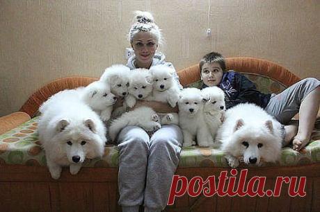 (41) Одноклассники
