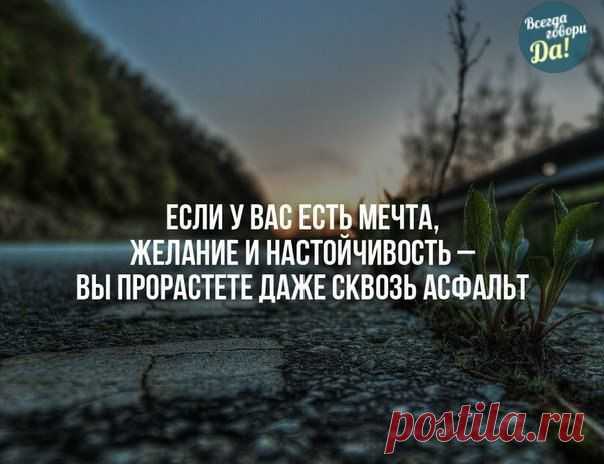 Татьяна Лосенкова