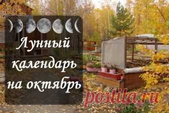 Лунный посевной календарь на октябрь 2018 года садовода и огородника В какие дни по лунному посевному календарю на октябрь 2018 года садовода и огородника лучше сажать и сеять. Благоприятные и неблагоприятные дни, посевы под зиму, выкопка клубней, внесение удобрений, обрезка деревьев и кустарников