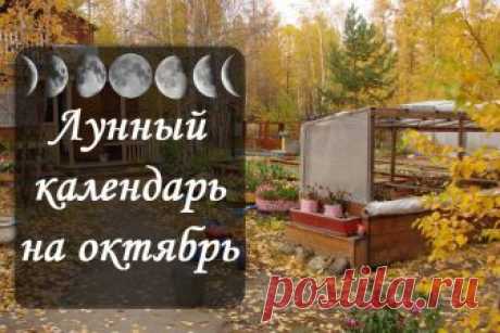 Лунный посевной календарь на октябрь 2018 года садовода и огородника В какие дни по лунному посевному календарю на октябрь 2018 года садовода и огородника лучше сажать и сеять. Благоприятные и неблагоприятные дни, посевы под зиму, выкопка клубней, внесение удобрений, обрезка деревьев и кустарников