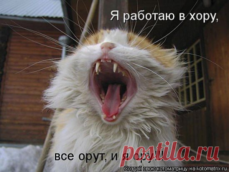 Рот уж скоро мой порвётся,а хормейстеру не ймётся=))))))