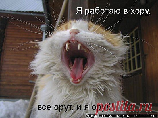 Рот уж скоро мой порвётся,а хормейстеру не ймётся=))))))