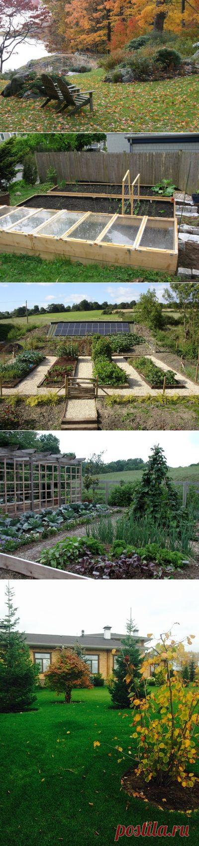 Перекапывать грядки осенью или нет — вот в чем вопрос — 6 соток