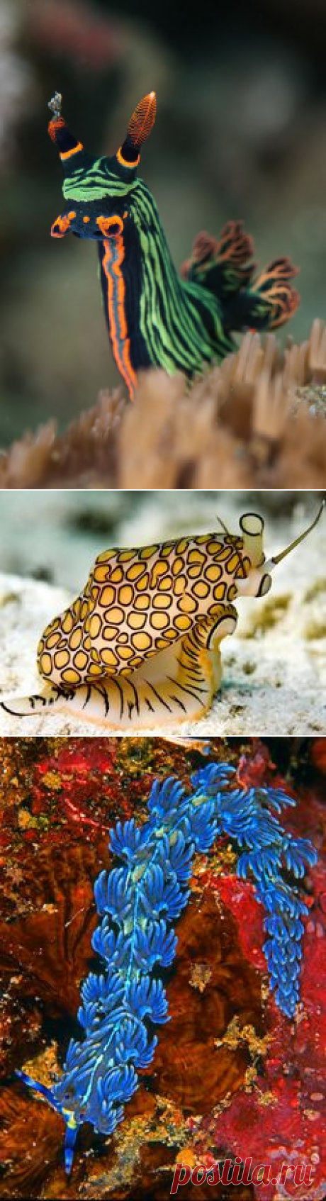 Бали, индонезия on Pinterest
