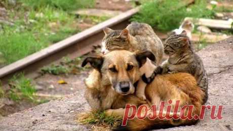 Восхитительно красивые и вдохновляющие фотографии, которые говорят больше, чем тысяча слов