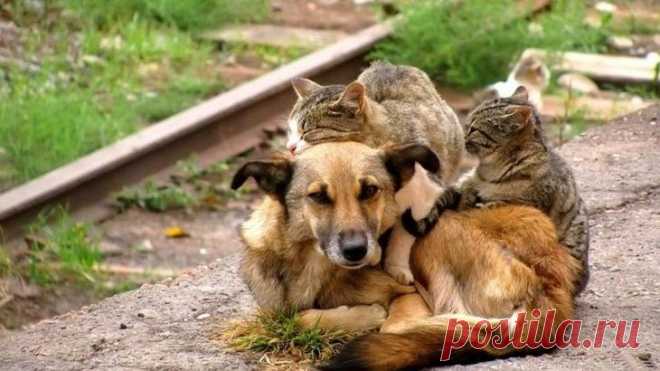 Восхитительно красивые и вдохновляющие фотографии, которые говорят больше, чем тысяча слов