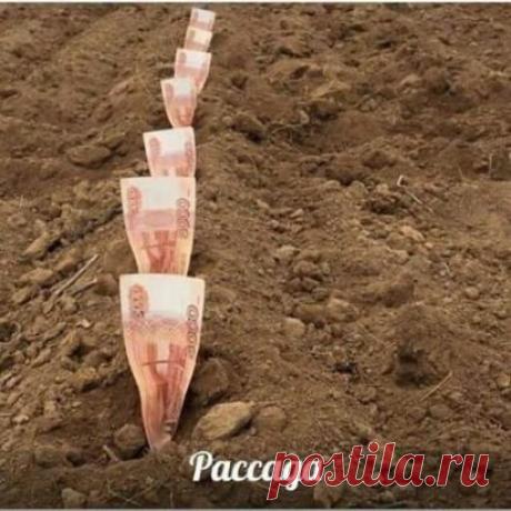 Обсуждения - ПСИХОЛОГИЯ измены и верности, любви и ненависти - НАША ЖИЗНЬ... - Группы Мой Мир