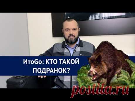 Выборы: кто такой подранок? | ИтоGo 12/04