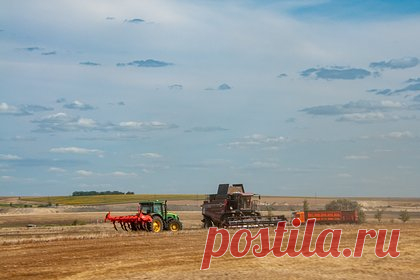 В Кремле прокомментировали возможный отказ Армении от российского зерна