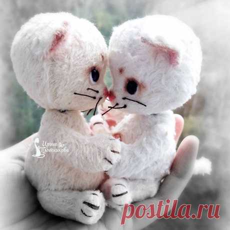 Прощаются малыши навсегда...😣😢😭😭😭😭😭😭😭😭😭😭😭😭😭😭😭
Не ревите,я сама реву.
#ирискин_котеныш 
#тэддикот #тэдди #расставание #грусть #тоска #пИчаль