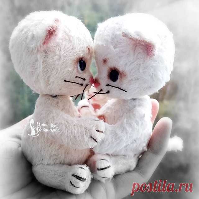 Прощаются малыши навсегда...😣😢😭😭😭😭😭😭😭😭😭😭😭😭😭😭😭
Не ревите,я сама реву.
#ирискин_котеныш 
#тэддикот #тэдди #расставание #грусть #тоска #пИчаль