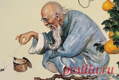 КИТАЙСКАЯ МУДРОСТЬ