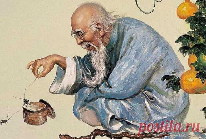 КИТАЙСКАЯ МУДРОСТЬ! ЕСЛИ ИЩЕШЬ ПЛОХОЕ, ТО ОБЯЗАТЕЛЬНО НАЙДЕШЬ | Мир женщины