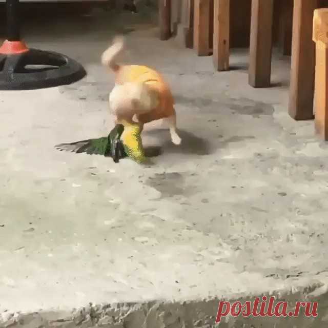 Жизнь борьба!