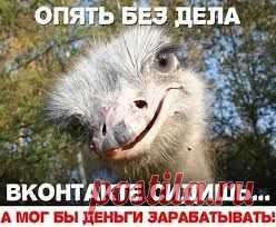 Делюсь новым, безотказным сервисом для раскрутки абсолютно любого бизнеса через интернет!