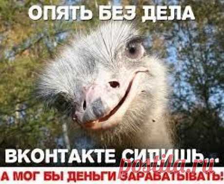 Делюсь новым, безотказным сервисом для раскрутки абсолютно любого бизнеса через интернет!
