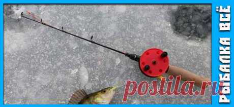 Окунь зимой. Где искать окуня зимой. - fishing-all.ru