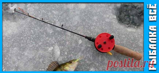 Окунь зимой. Где искать окуня зимой. - fishing-all.ru