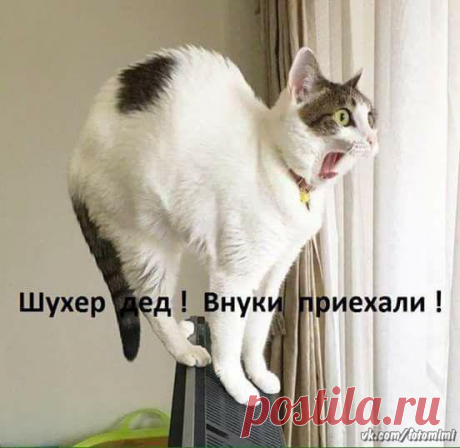 Настроение