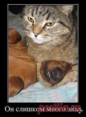 (77) Одноклассники