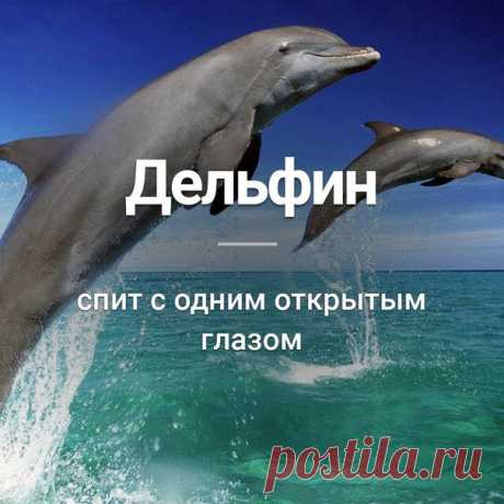Узнай сегодня