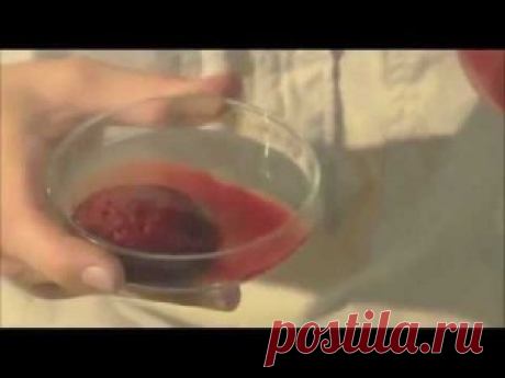 Вот что делает капля змеиного яда с человеческой кровью.