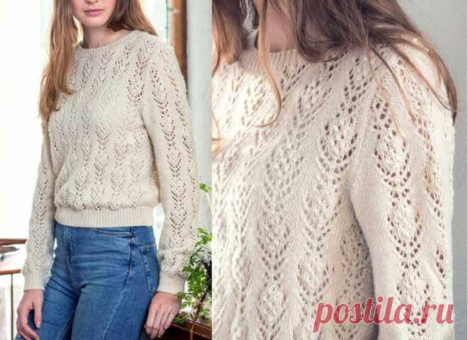 Beautiful Women Knitted Top