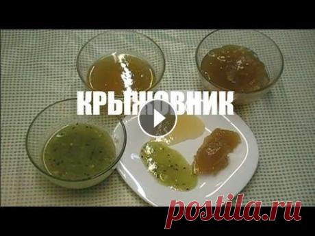 3 СПОСОБА ЗАГОТОВКИ КРЫЖОВНИКА НА ЗИМУ. ВАРЕНЬЕ ИЗ КРЫЖОВНИКА. 3 СПОСОБА ЗАГОТОВКИ КРЫЖОВНИКА НА ЗИМУ. ВАРЕНЬЕ ИЗ КРЫЖОВНИКА. ЖЕЛЕ ИЗ КРЫЖОВНИКА ЗА ПЯТЬ МИНУТ! Продолжается сезон заготовок на зиму. Сегодня предлаг...