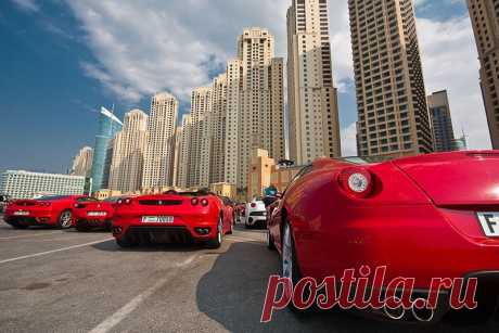 Ну, или почти все красное, было сегодня на паркинге в дубайском районе JBR. 
Вообще, встретить такую машинку на улицах города совсем не редкость, но чтобы в таком количестве, да в одном месте)))) 
Оказалось, что это местный Ferrari club, собрался на гонки F1, проходящие сейчас в Абу-Даби