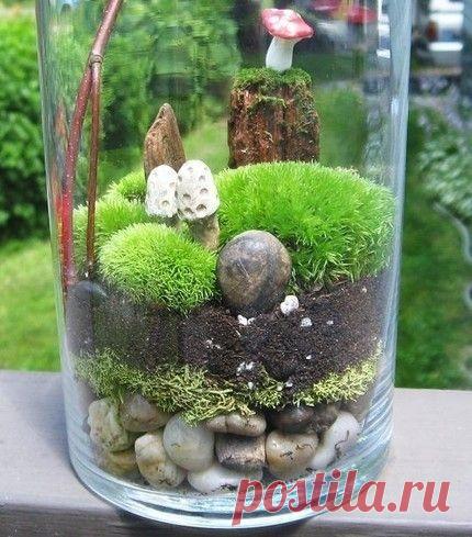 Флорариум в банке