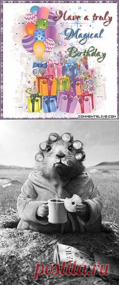 Greeting Cards on Pinterest