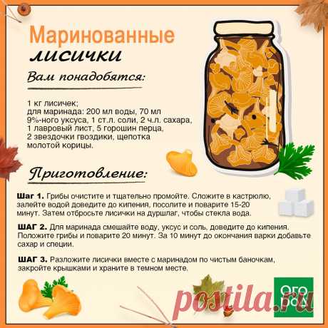 Маринованные лисички