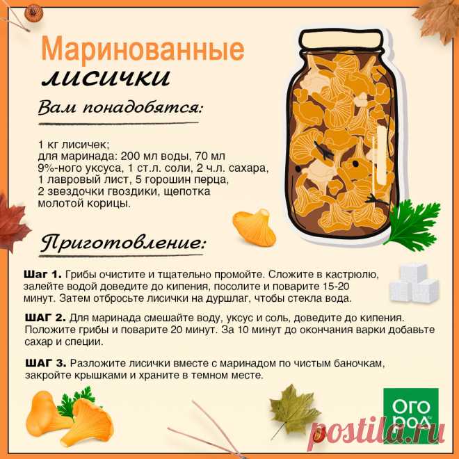 Маринованные лисички