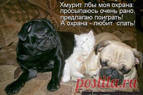 Мой Мир@Mail.Ru