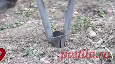 Самоделка для садовода